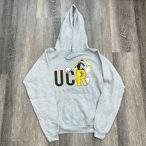UCR University of California Riverside Highlanders Grey Hoodie Sweater Small